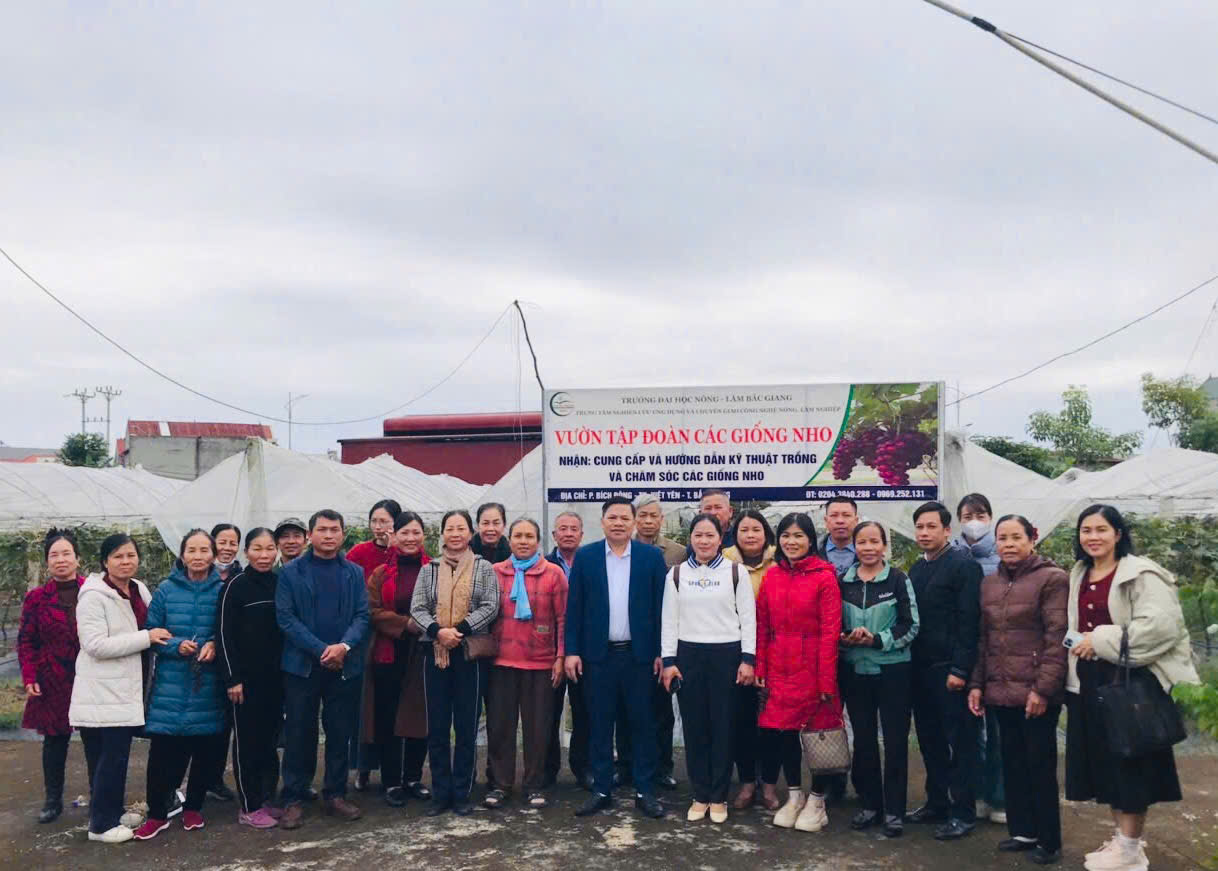 Tập huấn ứng dụng công nghệ thông tin trong sản xuất, tiêu thụ sản phẩm nông sản